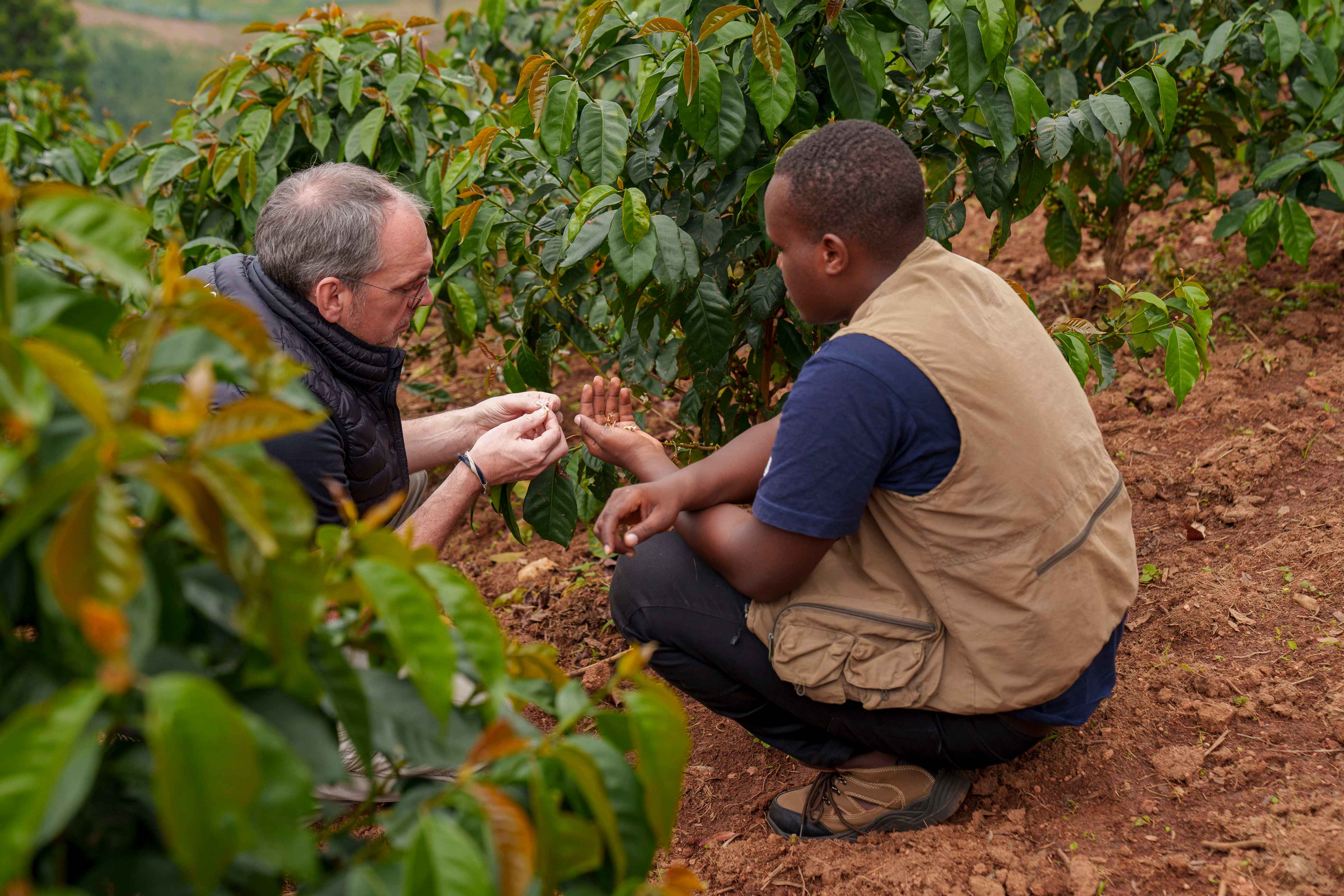Voyage au Rwanda