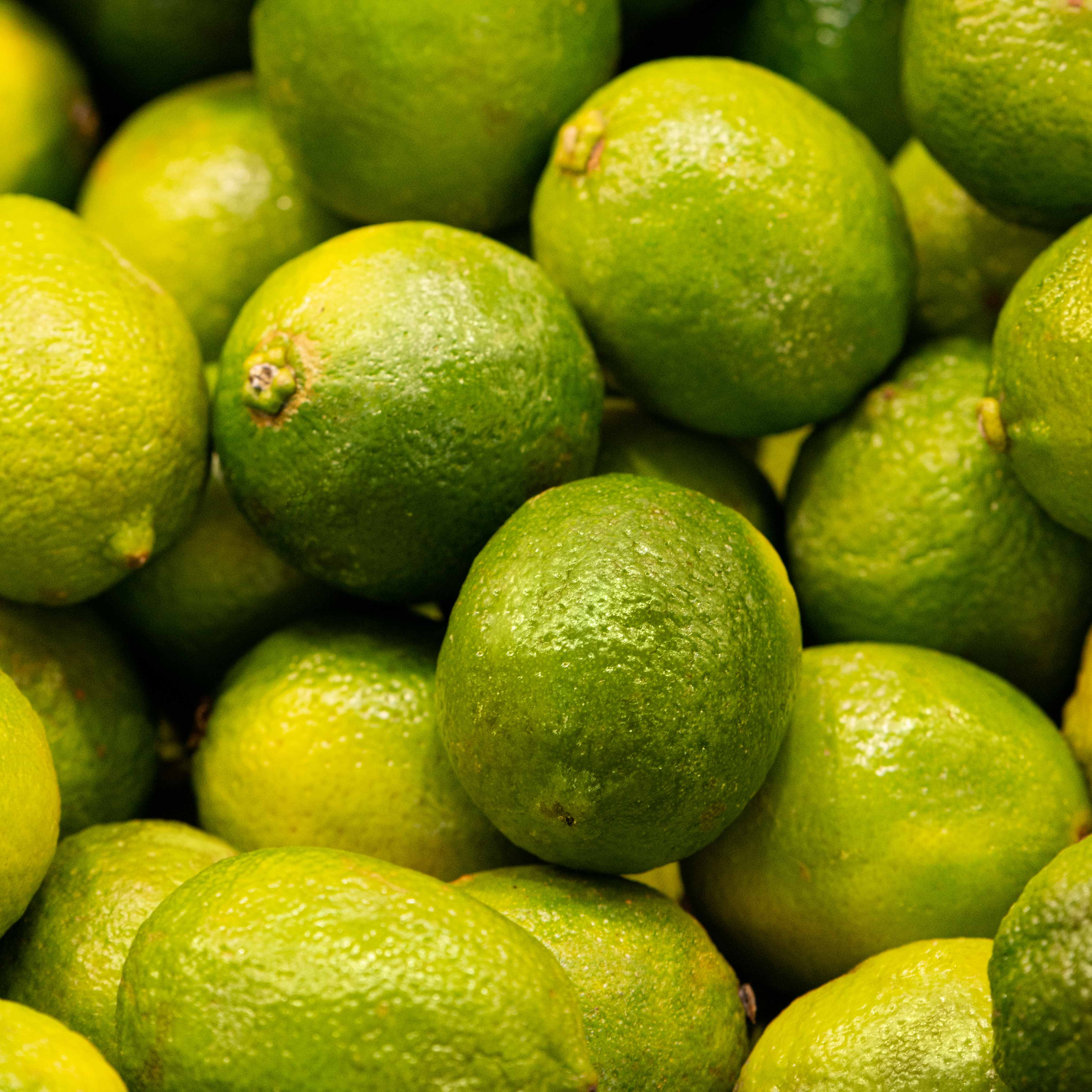 Bergamote