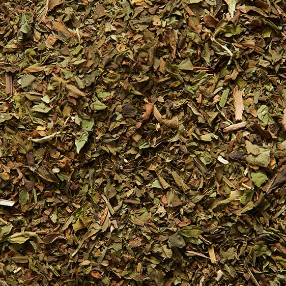 Menthe