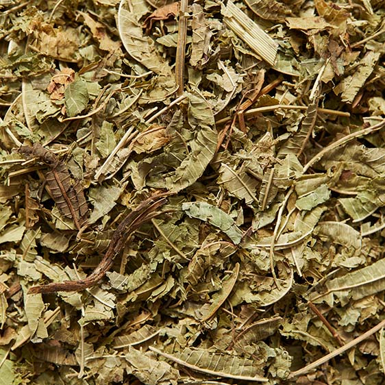 Verveine